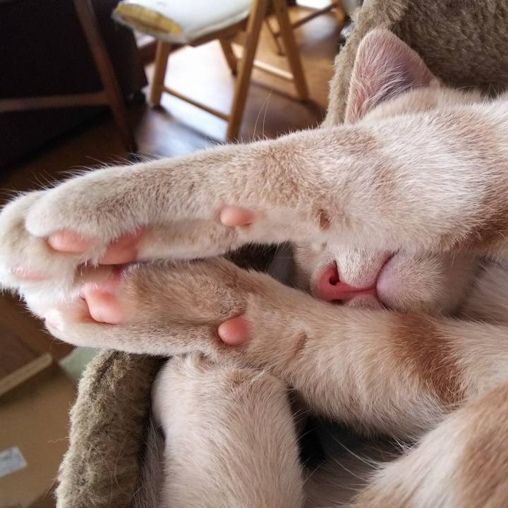 8147826a 655c 49e5 b921 9c36ce8fb78e 1546319117116