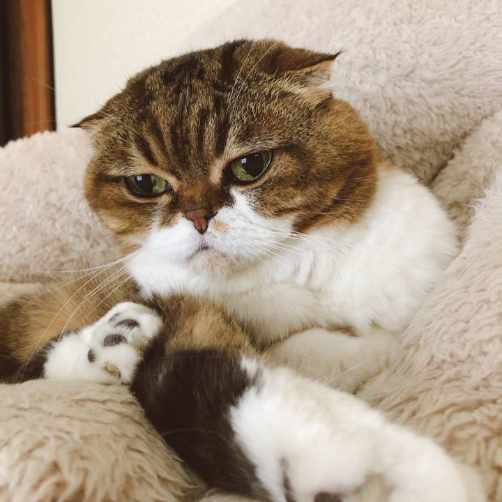 8147da25 f840 4b28 a889 ae5d768bb494 1580051552974