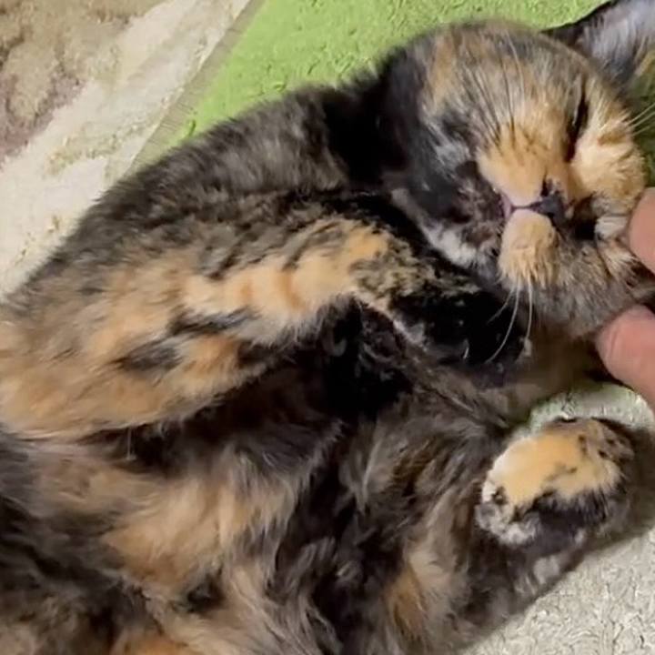 8147dcfa 79bb 4b1a 9525 345333411f7a 1753389085069