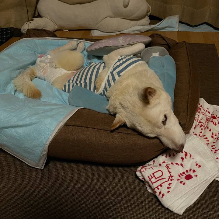 8147ee48 0222 4423 9095 c772fd0c1340 1666622650508