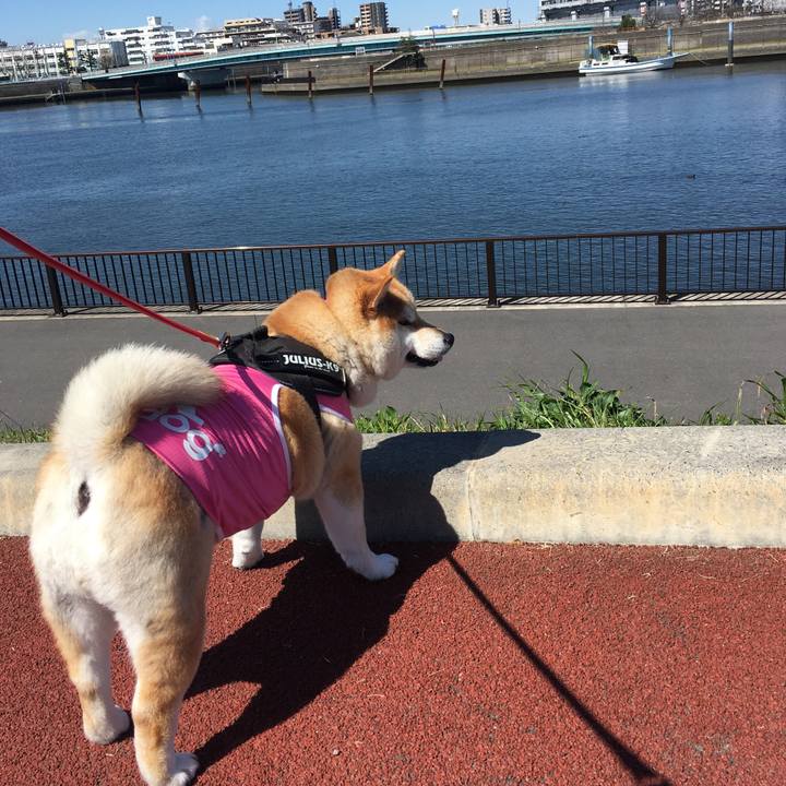 8148064a 8107 444e a09a 357a63c9f87f 1583898003404