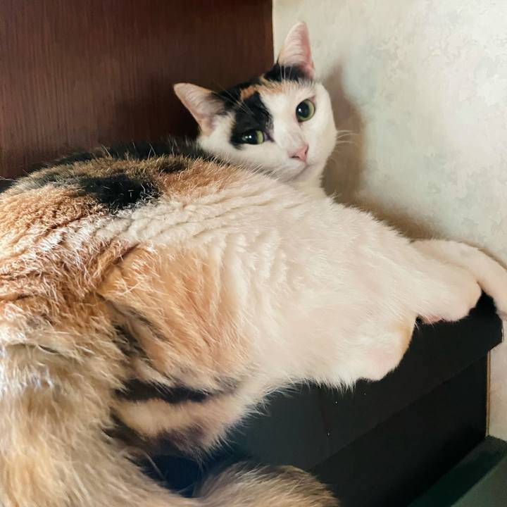 81480862 7ece 4f92 975c 1d2f945c54cd 1631498050221