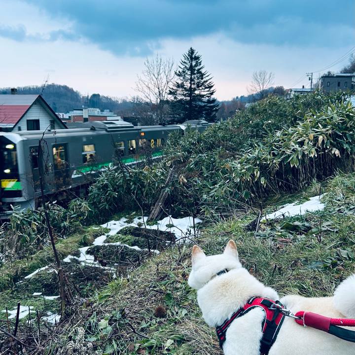 8148528b 0242 4203 853d 326da91bab18 1764116927679