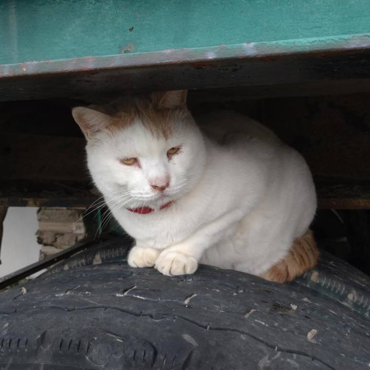 814890a7 3a30 4e29 86cd d1a1c16eaff2 1730857180756