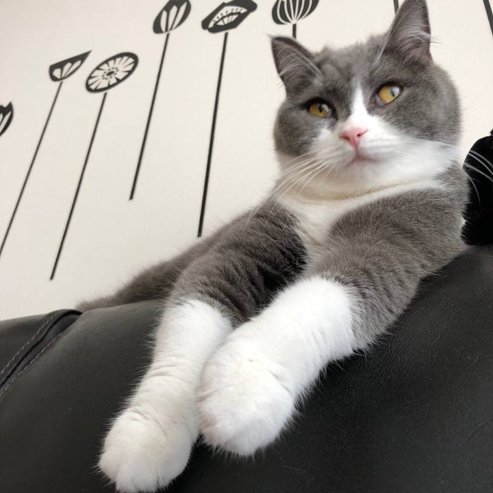 8148cd48 50a0 4762 9416 7ad06b5135cc 1529729418834