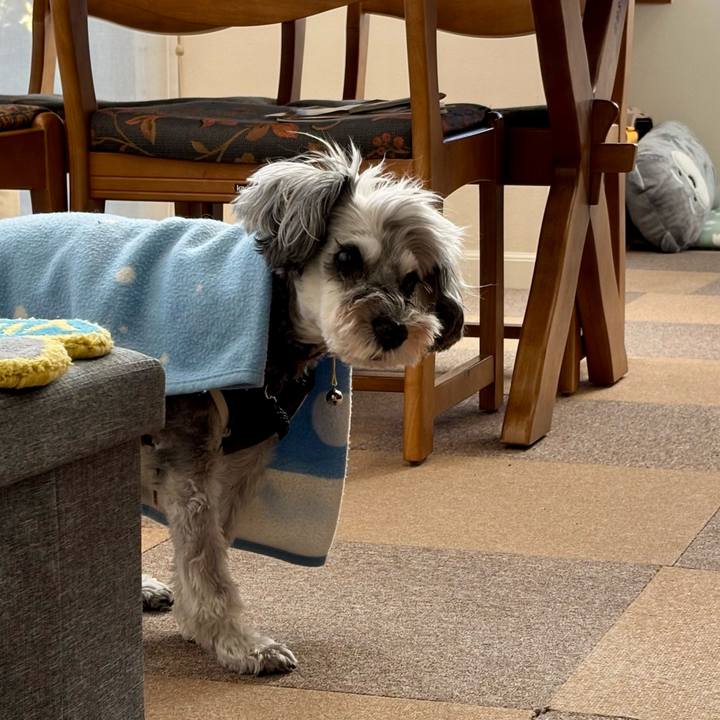 8148cea5 1161 45cc b119 3ac4546a59f5 1762732739390