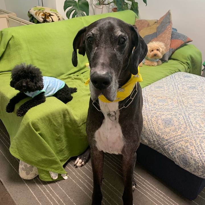 81493588 aa25 4a77 9d77 cc8d5726eece 1567031486924