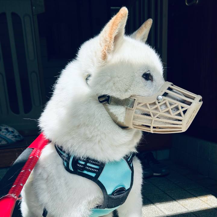 81493b7e cf63 4297 9a99 5120675e1193 1685128488571