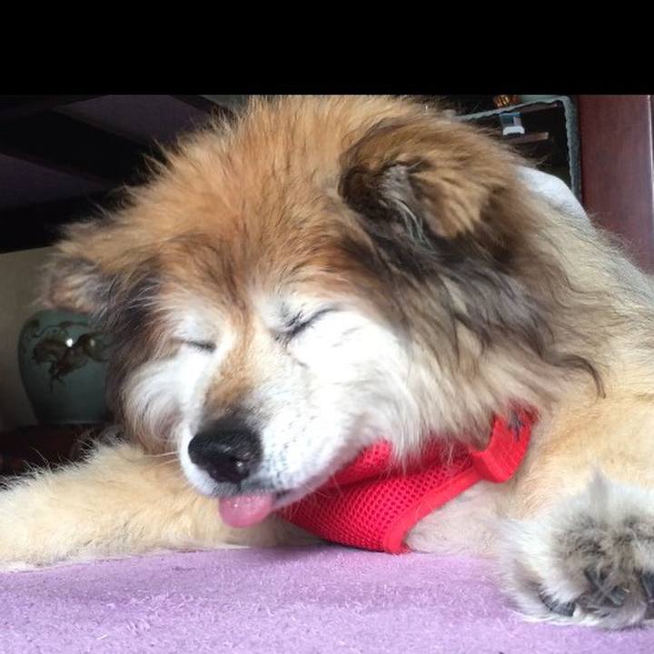 814a2ff3 3bc5 4ba9 989e 25714fd16460 1573514854403