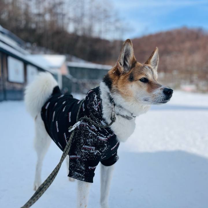 814a37c3 e394 45bf bf3f e88075018d4a 1770267544147