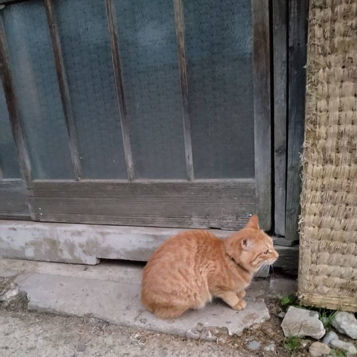 814a4d40 7448 4353 b3a9 eb13cb7e128e 1666907151590