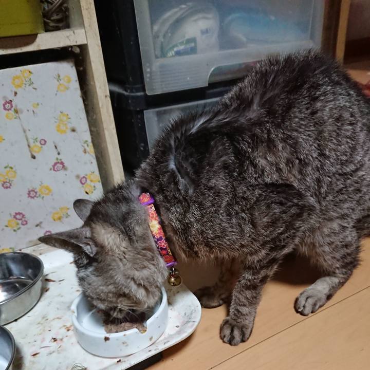 814a5460 a3b9 4ea6 b1d9 83098b12f603 1597090995005