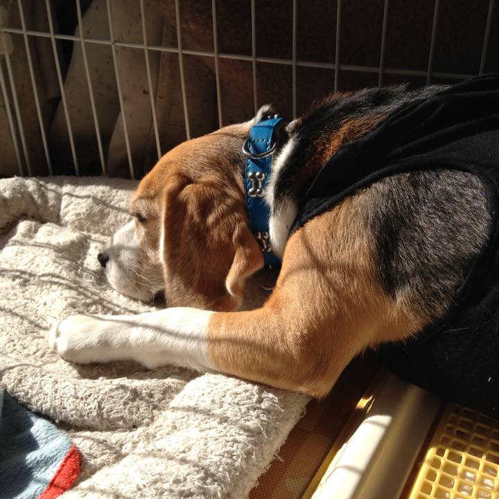 814a5636 b3cc 4fb0 a980 5850eb1d8b05 1736985817152