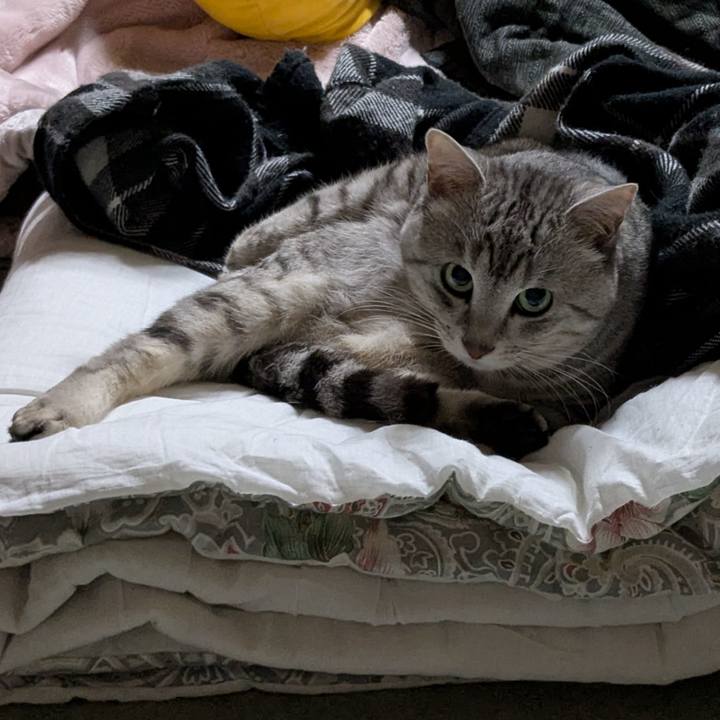 814a75c3 b616 42b1 858a c5349f95ef8e 1770465962603