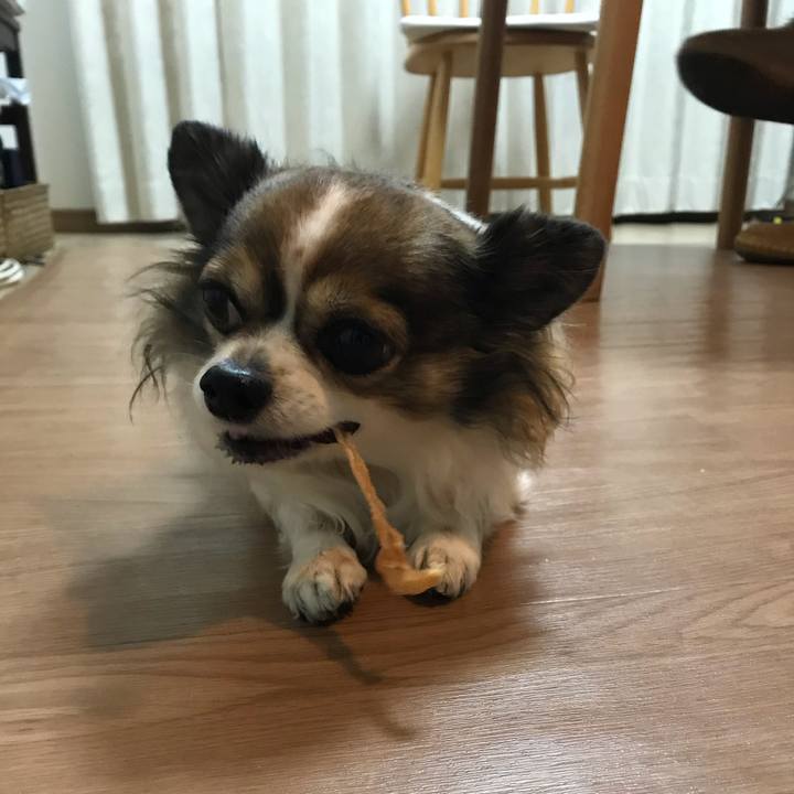 814a96d1 f483 45a9 a51b 1b5da8a7956a 1609418517984