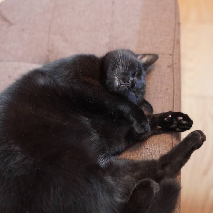 814ab0c2 538a 41ac 98c3 95eb2ae4b82a 1629122907050