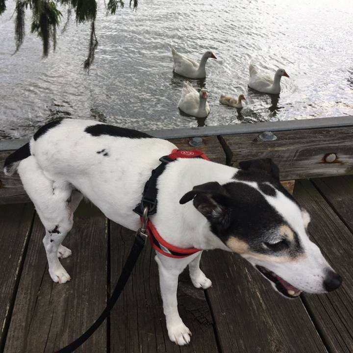 814ae72e 90b6 4fa1 a6bb 7a906ee50afd 1558741853392