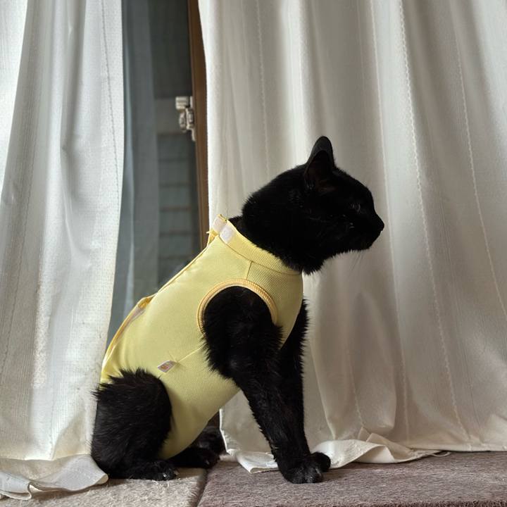 814b0a1f 2d30 4fde 83f9 be7aede3f449 1721951614833