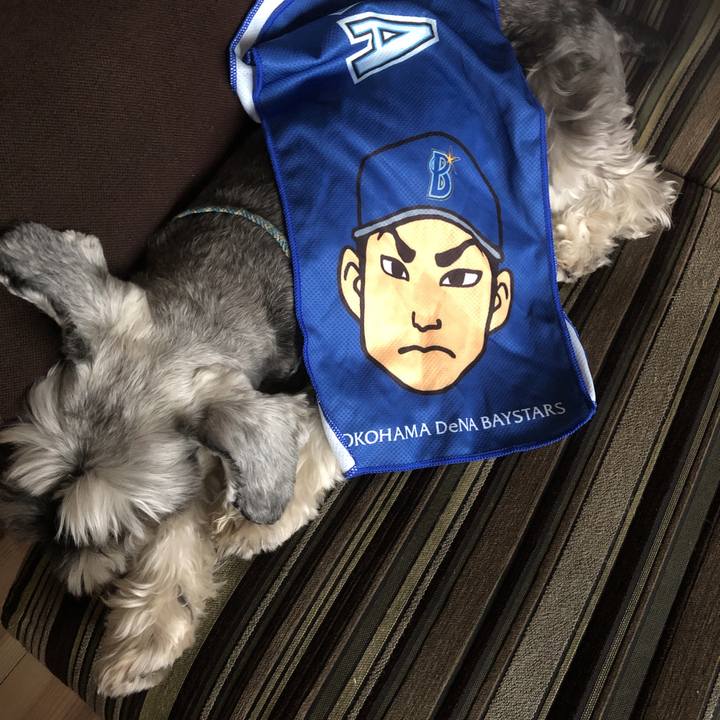 814b2ba8 edb8 4ed8 9fab 6949547b1e87 1569647478888