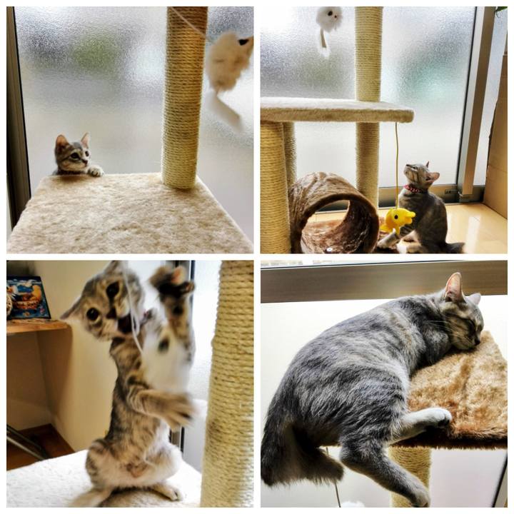 814b6453 74e9 4f1a b33b cd0c0560ba73 1637941024713