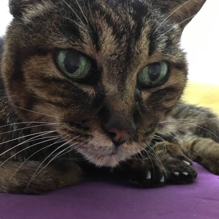 814b899c 79e4 4934 af3b 300e3ff9771b 1522844016083