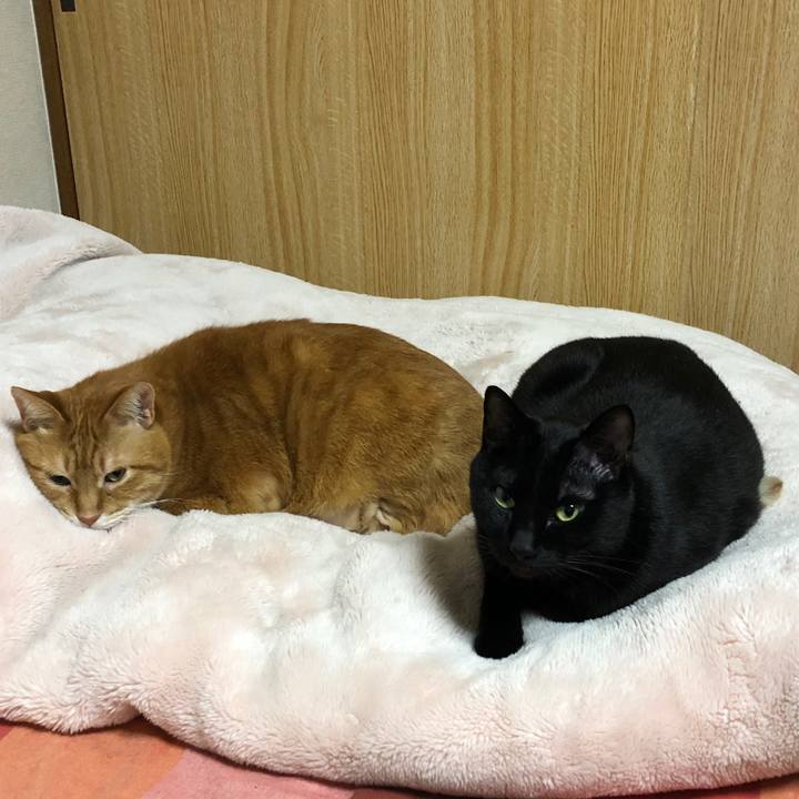 814bc42c a374 4017 a361 d30039848afb 1709817815331