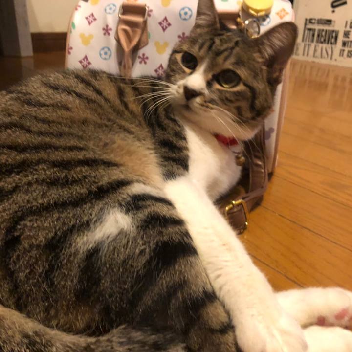 814bcd91 4fed 45c1 87ab eb95689b7353 1561215661603