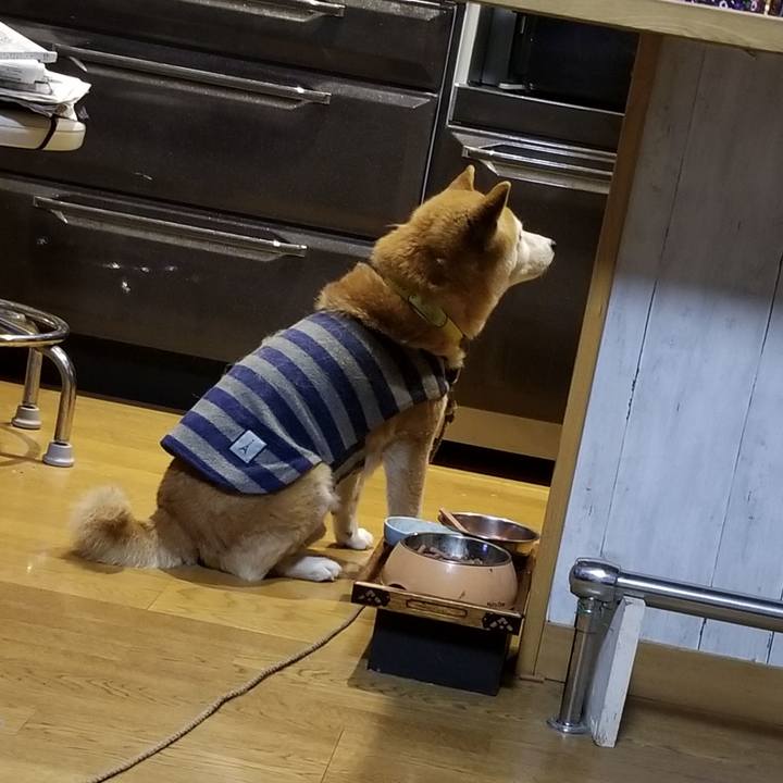 814bd068 f451 4938 b203 d0362a33d8de 1675419501767