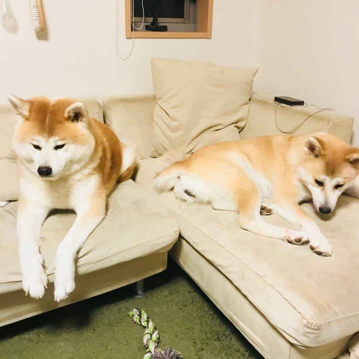 814bdef0 910f 43b3 b61e 99610df73f39 1511006424720