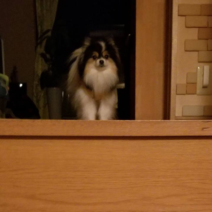 814be42c 0573 4a20 b1b8 85c8c22224a7 1580988311132