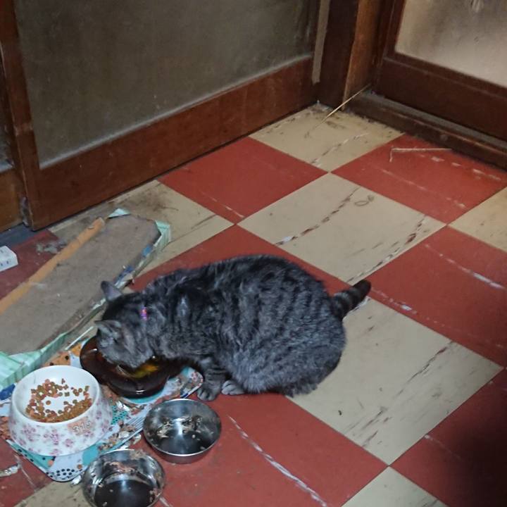 814bfb07 c7f0 4f48 9120 dae13cdfd690 1580807590651