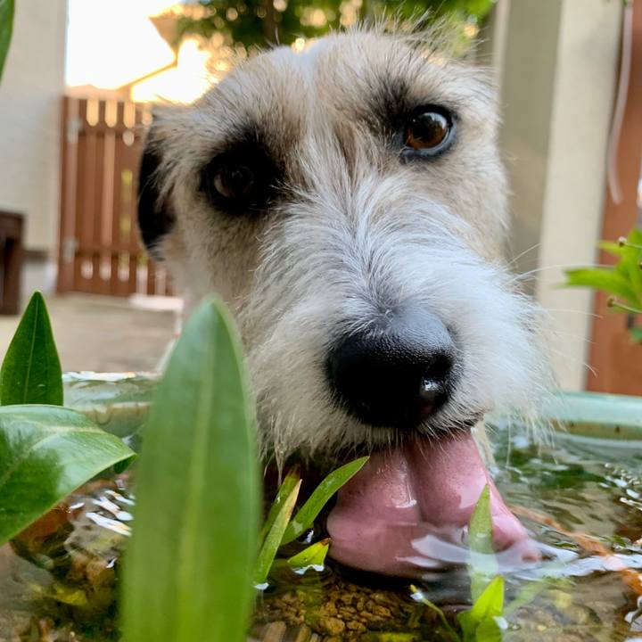 814c248b 741e 4833 abe4 31d0064df84b 1684317848288