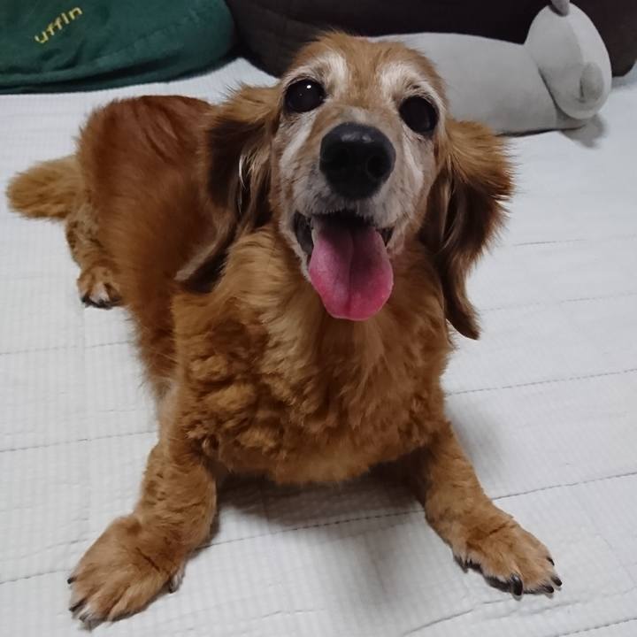 814c26d4 35f2 42b5 804c b4e1ce7f4fcc 1596741570100