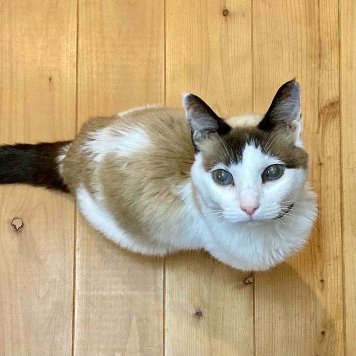 814c32c6 b026 4a65 9402 5e96d9983a5a 1678755637319