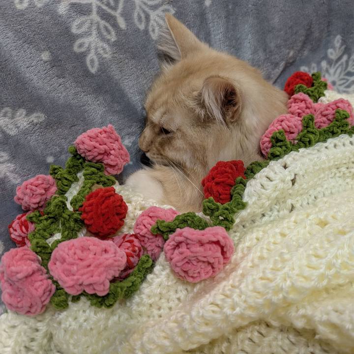 814c4b6f 3aff 477c 8c26 0521d34d55a4 1762171255418