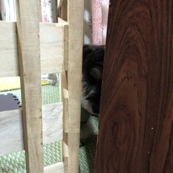 814c60ab e582 40ac a41a 3db85758a82c 1669182667066