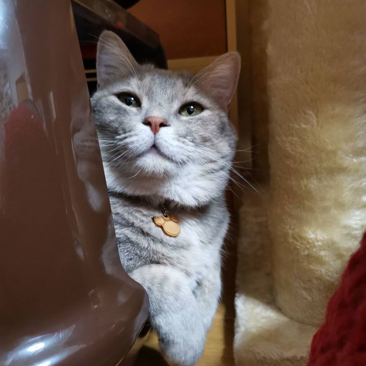 814c60c6 8a08 4bd6 9131 a8e63ab8e58b 1599055807423