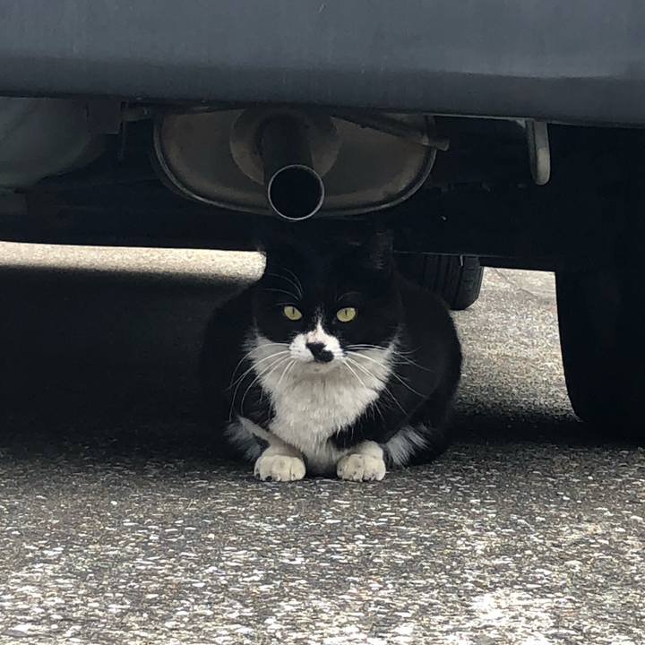 814c8908 20ef 48dd ab04 95183cbe7420 1554118897491