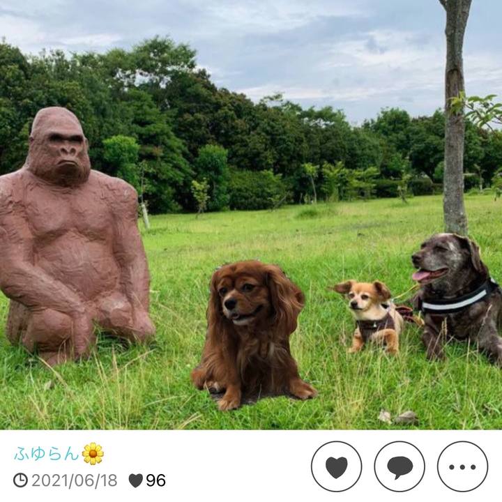 814c935d 4a7d 49c2 a45d 472712613f7a 1656044145488