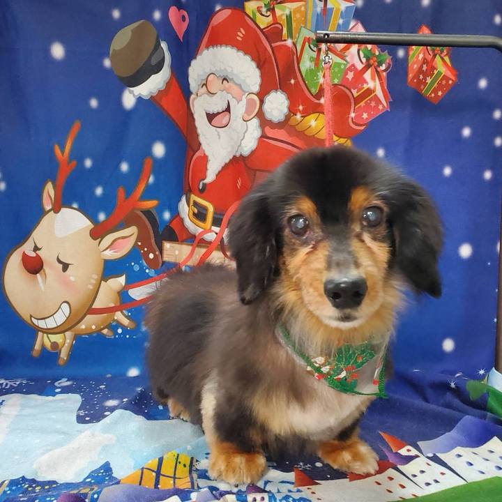 814cbf95 589d 4432 bee6 71a26da789f3 1702202883746