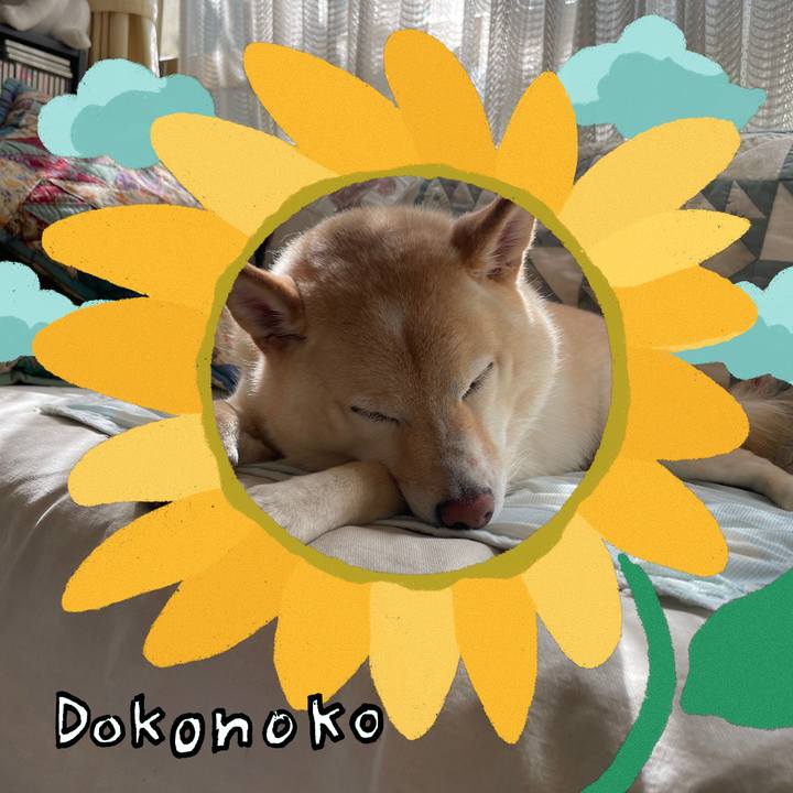 814cfb8a d869 4660 a841 0e4d11462fc9 1723506367680