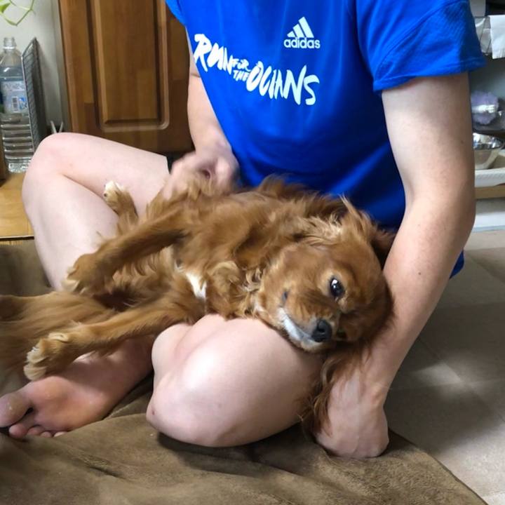 814d0118 158c 4663 b266 875901697239 1629845495717