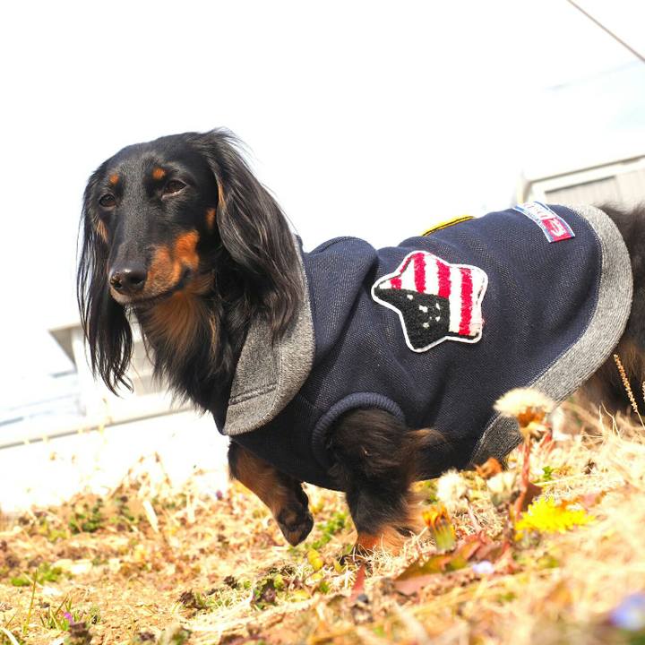 814d115f 5b77 44ec a7ea 302fa8769491 1518670185577