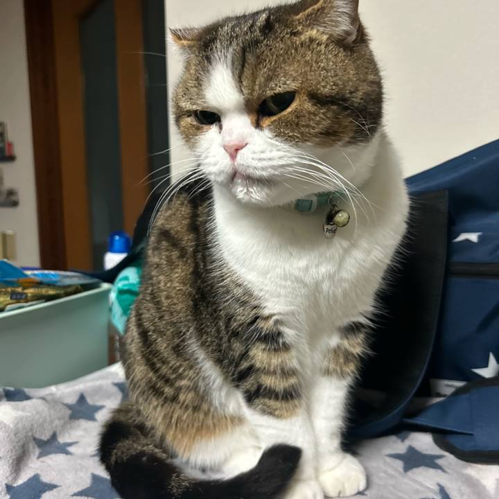 814d17d7 e567 4bdb 9254 6c0713025796 1763763943800