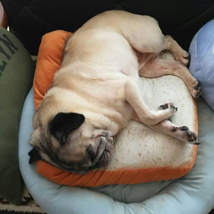 814d3406 14be 4879 ba39 925a0fce8f29 1533306574360