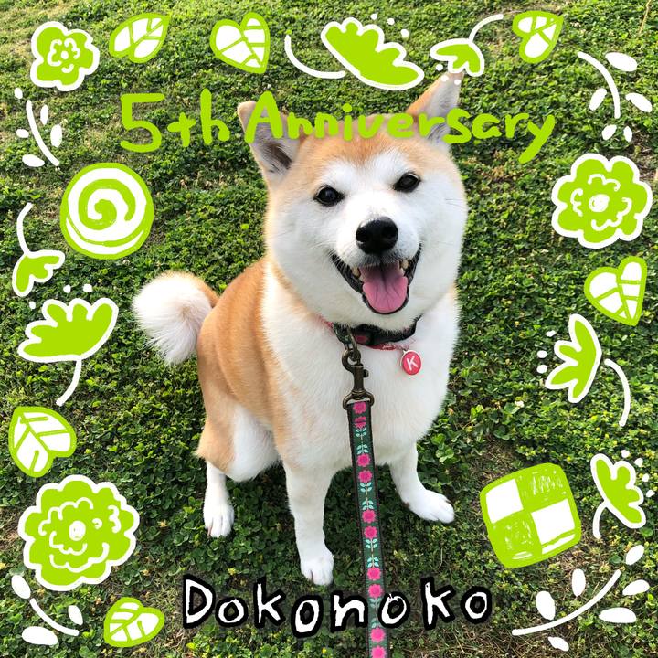 814d467c 8fb5 4e82 a862 b064c04279bc 1622856779217