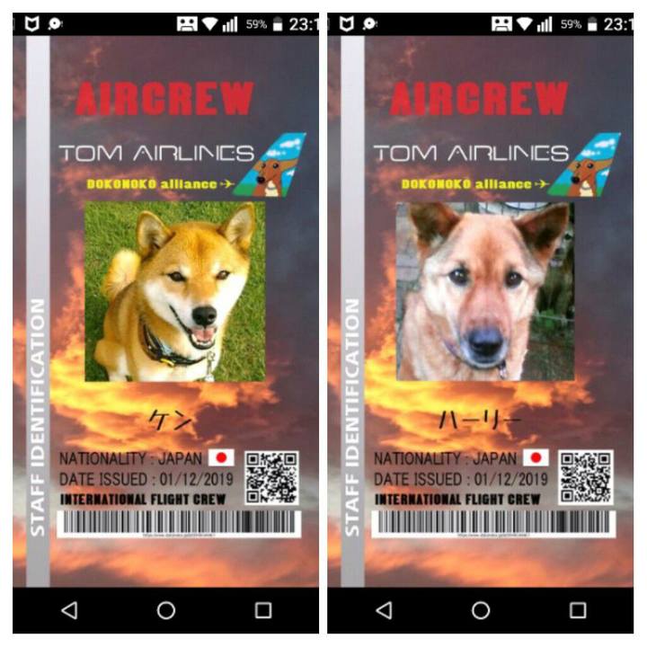 814d4913 a2a5 4cd0 945d 69a9afc2e298 1575987232808