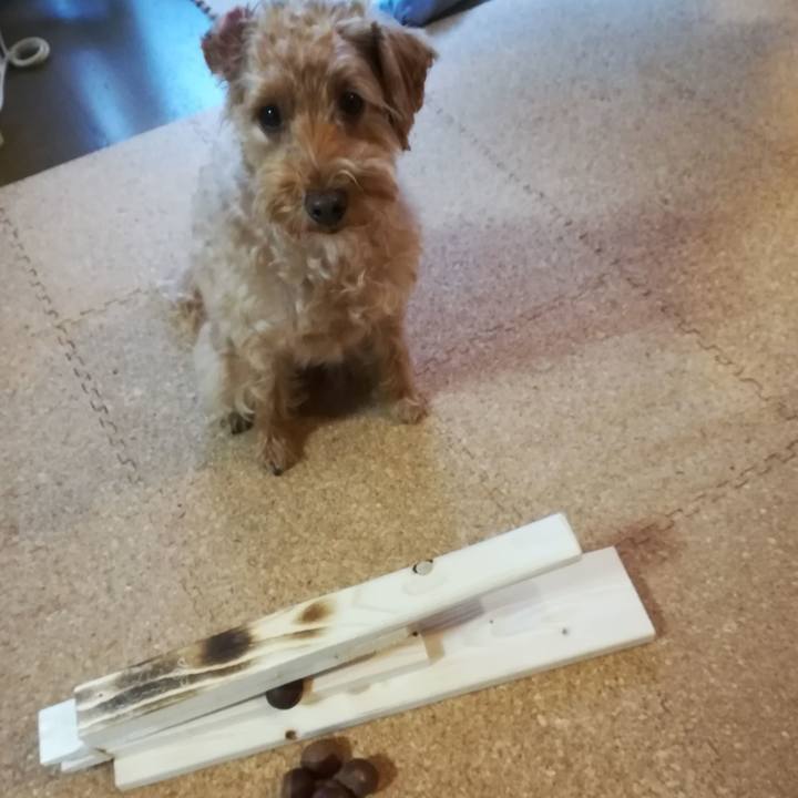 814d5b38 d5f9 487f 8393 b02564e492cb 1570485868511