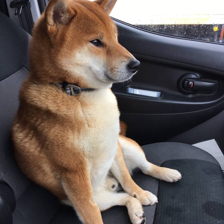 814d7509 b21f 4088 9df2 0b7a5fa9965f 1516415808181