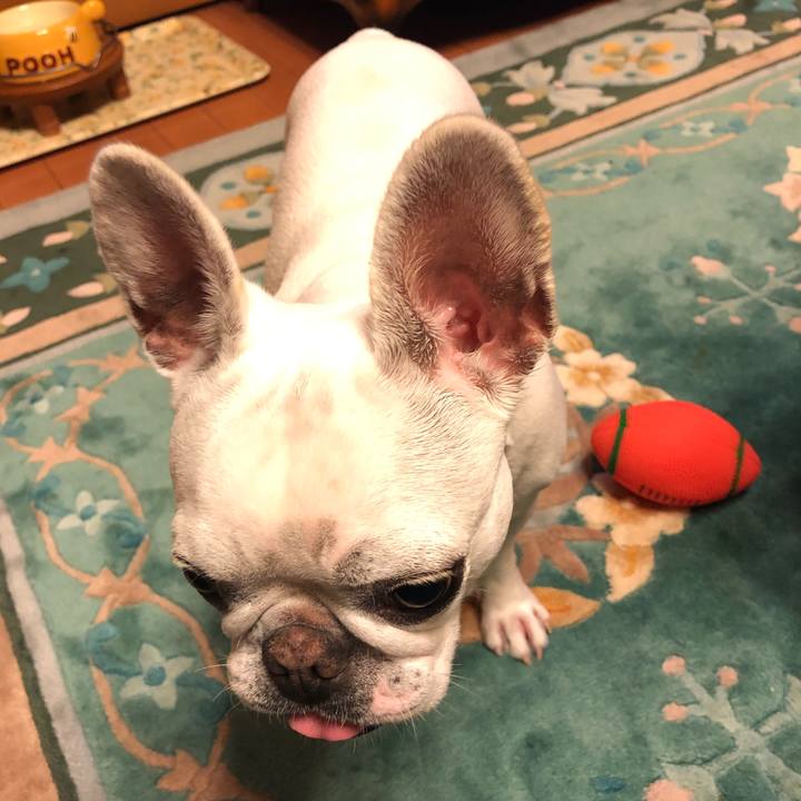 814d7b54 ed0f 4ef6 95c5 4936b024c438 1547121912606